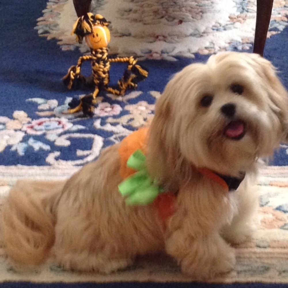 Meet your Posher, Kathy